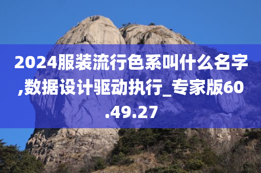 2024服装流行色系叫什么名字,数据设计驱动执行_专家版60.49.27