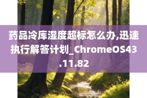 药品冷库湿度超标怎么办,迅速执行解答计划_ChromeOS43.11.82