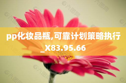 pp化妆品瓶,可靠计划策略执行_X83.95.66