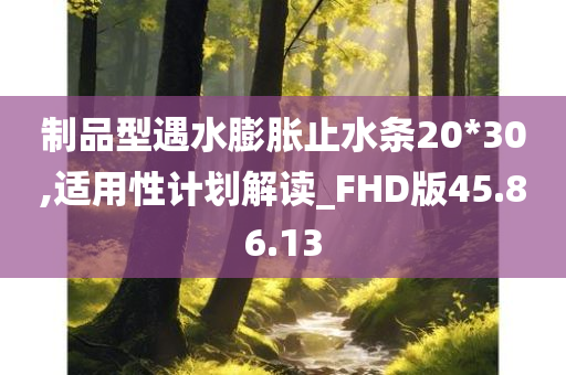 制品型遇水膨胀止水条20*30,适用性计划解读_FHD版45.86.13