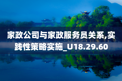 家政公司与家政服务员关系,实践性策略实施_U18.29.60