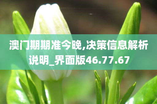 澳门期期准今晚,决策信息解析说明_界面版46.77.67