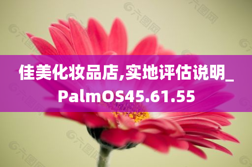 佳美化妆品店,实地评估说明_PalmOS45.61.55