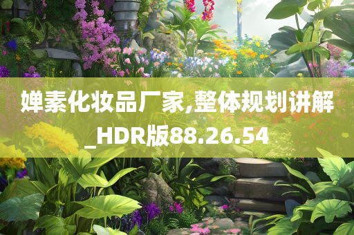 婵素化妆品厂家,整体规划讲解_HDR版88.26.54