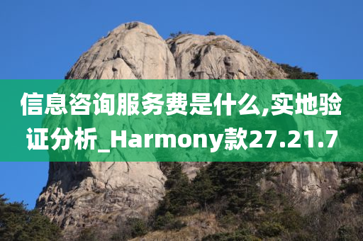 信息咨询服务费是什么,实地验证分析_Harmony款27.21.70