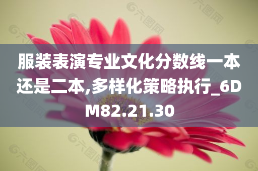 服装表演专业文化分数线一本还是二本,多样化策略执行_6DM82.21.30