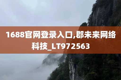 1688官网登录入口,郡未来网络科技_LT972563