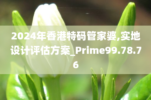 2024年香港特码管家婆,实地设计评估方案_Prime99.78.76