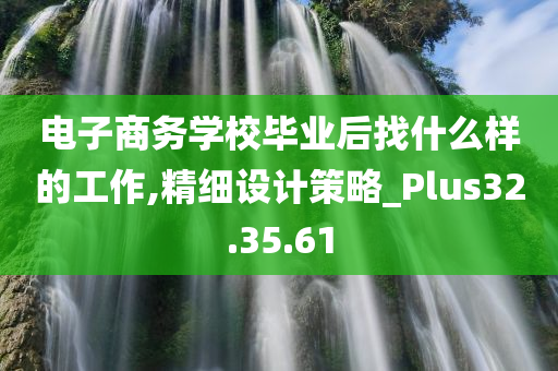 电子商务学校毕业后找什么样的工作,精细设计策略_Plus32.35.61