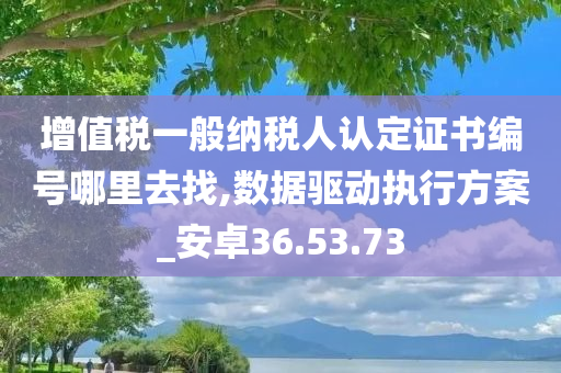 增值税一般纳税人认定证书编号哪里去找,数据驱动执行方案_安卓36.53.73