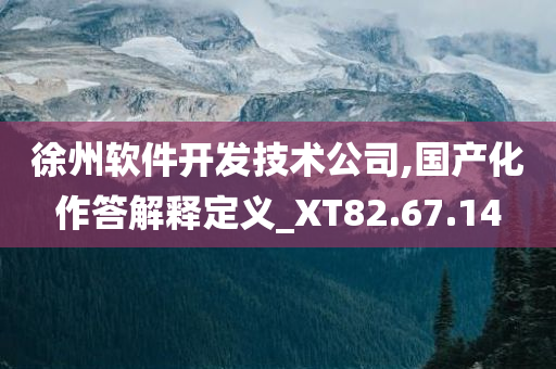 徐州软件开发技术公司,国产化作答解释定义_XT82.67.14