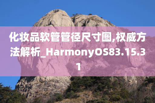 化妆品软管管径尺寸图,权威方法解析_HarmonyOS83.15.31