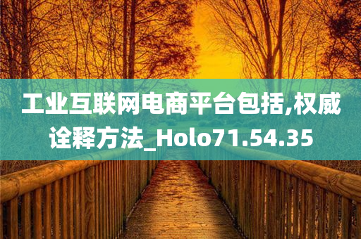 工业互联网电商平台包括,权威诠释方法_Holo71.54.35