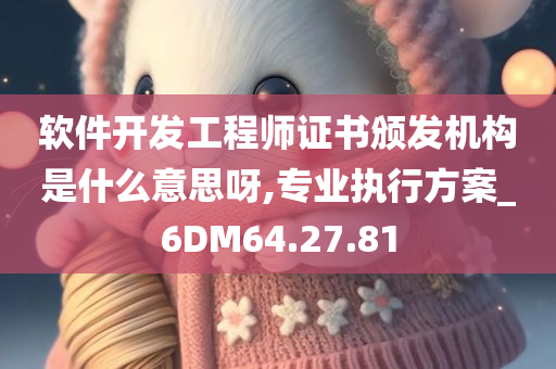 软件开发工程师证书颁发机构是什么意思呀,专业执行方案_6DM64.27.81