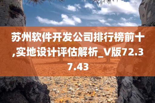 苏州软件开发公司排行榜前十,实地设计评估解析_V版72.37.43