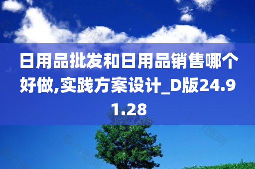 日用品批发和日用品销售哪个好做,实践方案设计_D版24.91.28