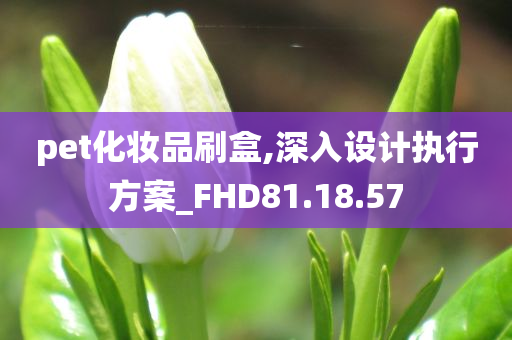 pet化妆品刷盒,深入设计执行方案_FHD81.18.57