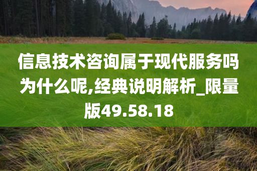 信息技术咨询属于现代服务吗为什么呢,经典说明解析_限量版49.58.18