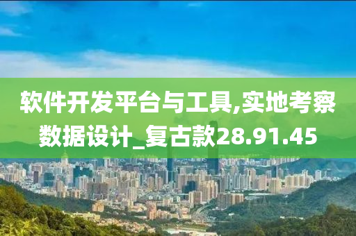 软件开发平台与工具,实地考察数据设计_复古款28.91.45