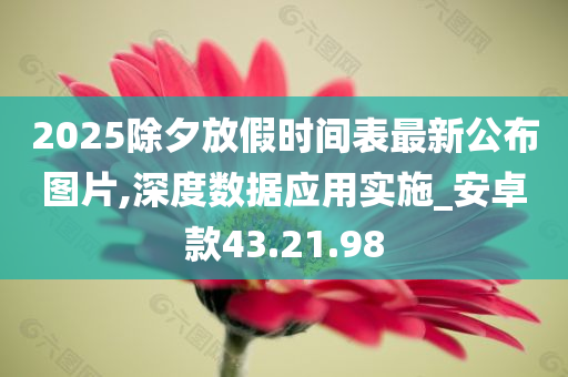 2025除夕放假时间表最新公布图片,深度数据应用实施_安卓款43.21.98