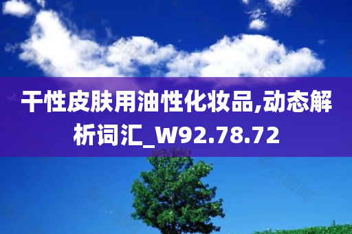 干性皮肤用油性化妆品,动态解析词汇_W92.78.72