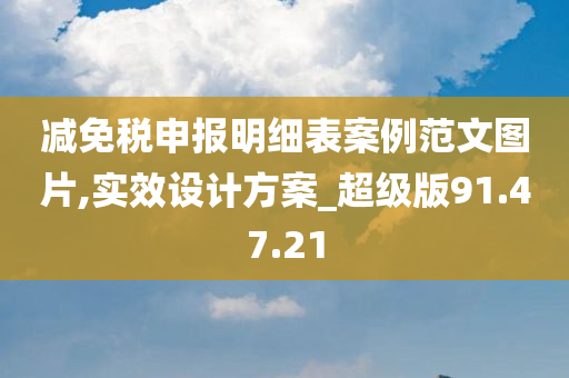 减免税申报明细表案例范文图片,实效设计方案_超级版91.47.21