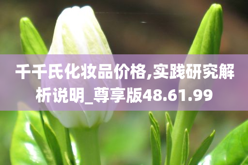 千千氏化妆品价格,实践研究解析说明_尊享版48.61.99