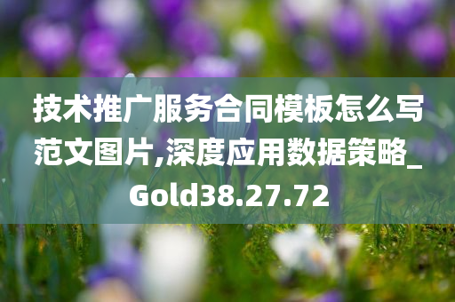 技术推广服务合同模板怎么写范文图片,深度应用数据策略_Gold38.27.72