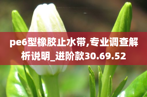 pe6型橡胶止水带,专业调查解析说明_进阶款30.69.52