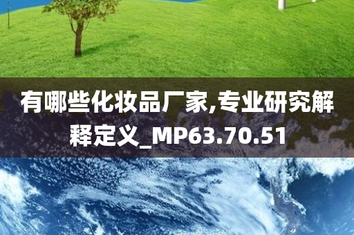 有哪些化妆品厂家,专业研究解释定义_MP63.70.51