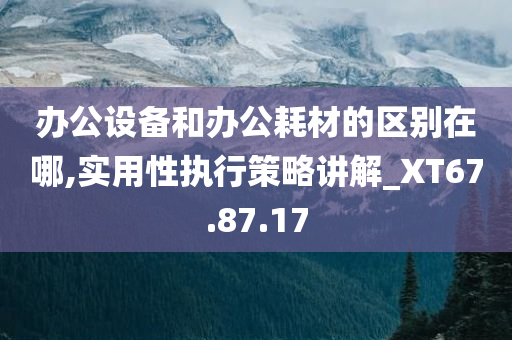 办公设备和办公耗材的区别在哪,实用性执行策略讲解_XT67.87.17