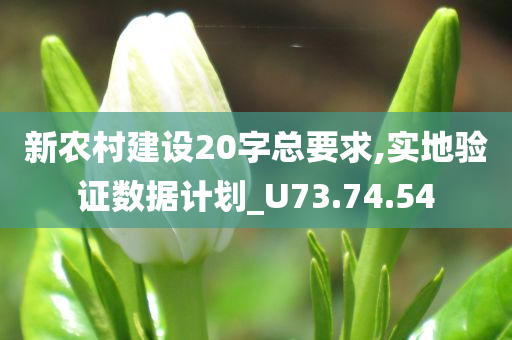 新农村建设20字总要求,实地验证数据计划_U73.74.54