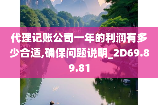 代理记账公司一年的利润有多少合适,确保问题说明_2D69.89.81