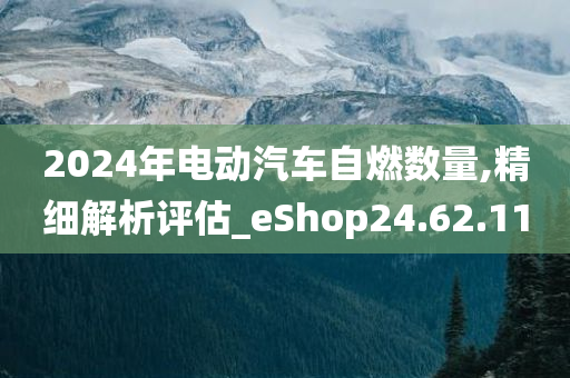 2024年电动汽车自燃数量,精细解析评估_eShop24.62.11