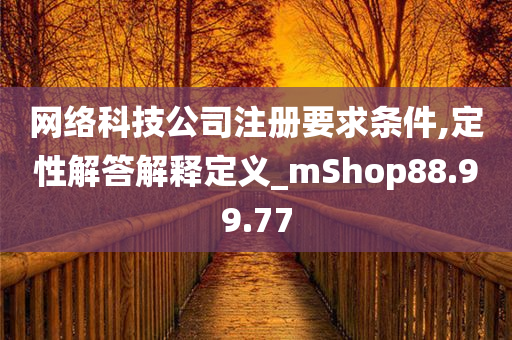 网络科技公司注册要求条件,定性解答解释定义_mShop88.99.77