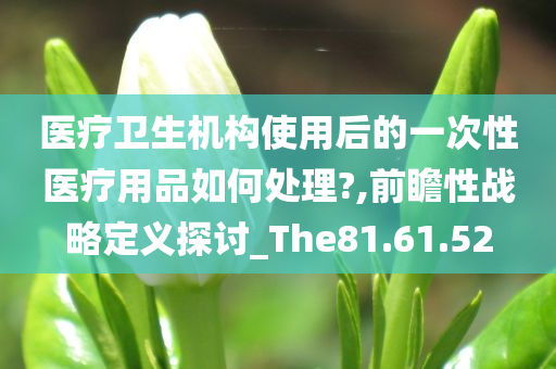 医疗卫生机构使用后的一次性医疗用品如何处理?,前瞻性战略定义探讨_The81.61.52