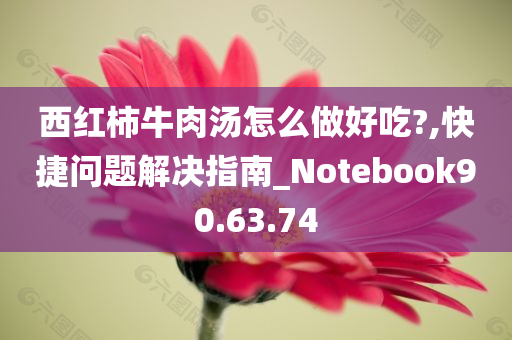 西红柿牛肉汤怎么做好吃?,快捷问题解决指南_Notebook90.63.74