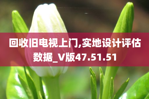 回收旧电视上门,实地设计评估数据_V版47.51.51