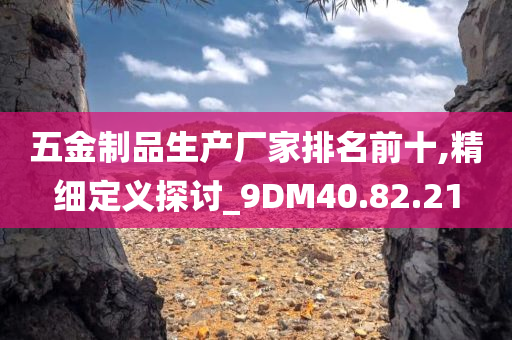 五金制品生产厂家排名前十,精细定义探讨_9DM40.82.21