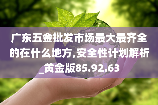 广东五金批发市场最大最齐全的在什么地方,安全性计划解析_黄金版85.92.63