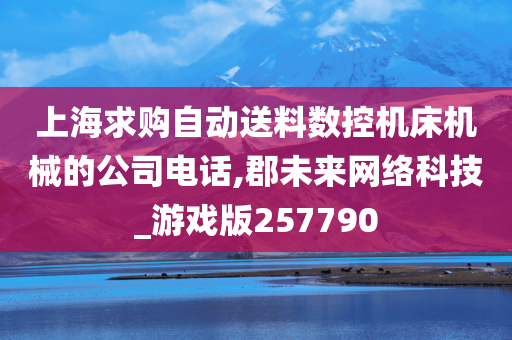 上海求购自动送料数控机床机械的公司电话,郡未来网络科技_游戏版257790