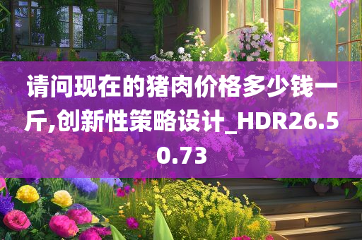 请问现在的猪肉价格多少钱一斤,创新性策略设计_HDR26.50.73