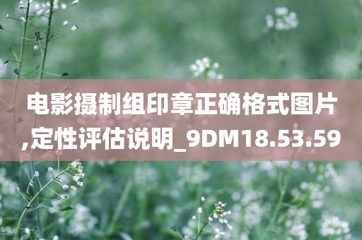 电影摄制组印章正确格式图片,定性评估说明_9DM18.53.59