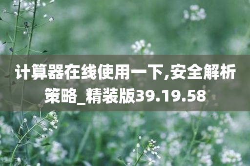 计算器在线使用一下,安全解析策略_精装版39.19.58