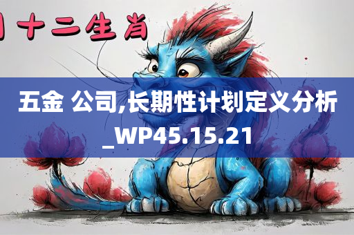 五金 公司,长期性计划定义分析_WP45.15.21