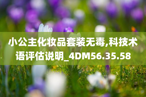 小公主化妆品套装无毒,科技术语评估说明_4DM56.35.58