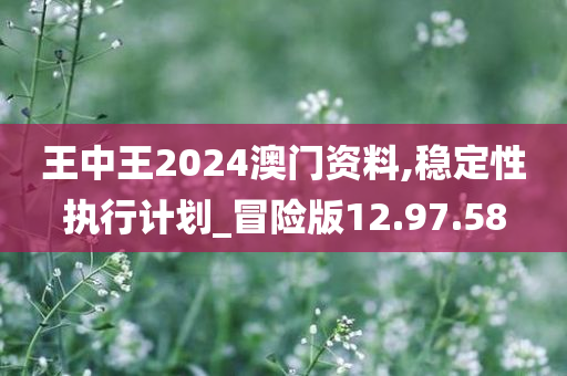 王中王2024澳门资料,稳定性执行计划_冒险版12.97.58