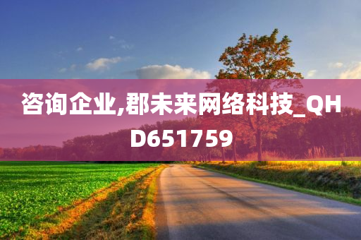 咨询企业,郡未来网络科技_QHD651759