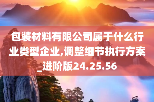 包装材料有限公司属于什么行业类型企业,调整细节执行方案_进阶版24.25.56