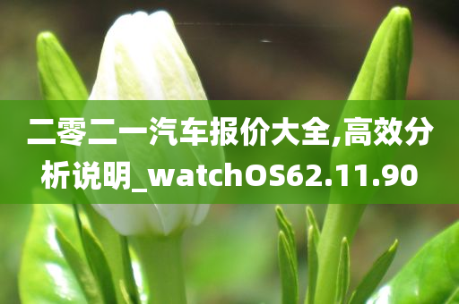 二零二一汽车报价大全,高效分析说明_watchOS62.11.90